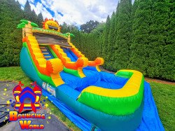 447273332 444700885166764 8801264914361701151 n 1717880898 15ft Sunshine Water Slide