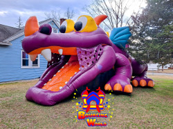 InShot 20250322 211111752 1742692416 Magic Dragon