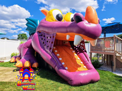 InShot 20250823 133710048 1756059708 Magic Dragon